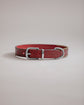 Collar Porthos - Cherry