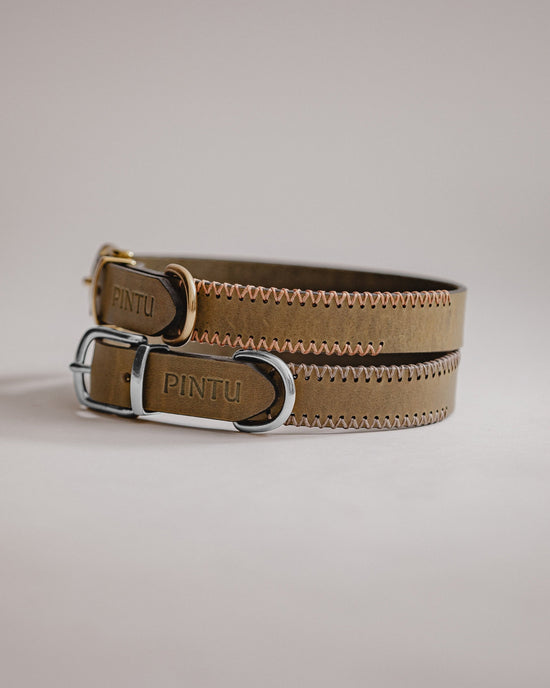 Collar Porthos - Olive