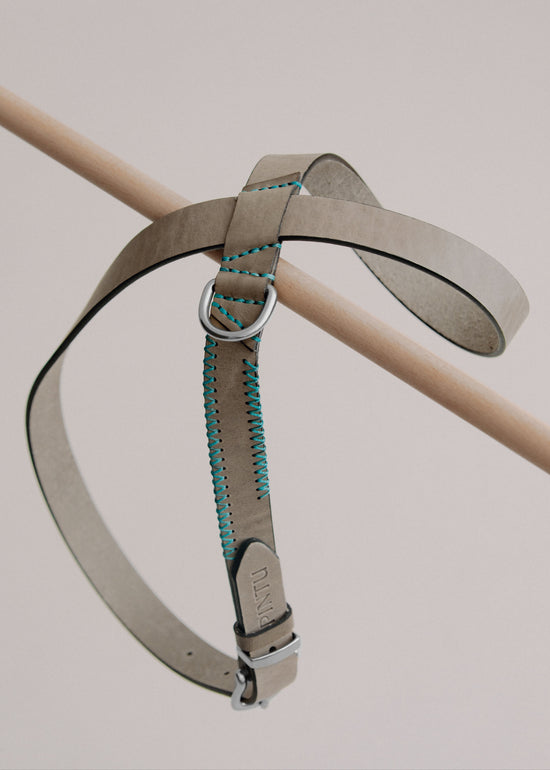 Harness Flynn - Grey