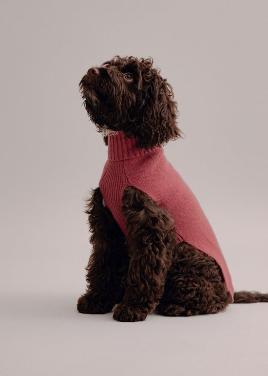 Cashmere Dog Pullover