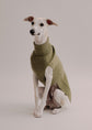 Cashmere Dog Pullover