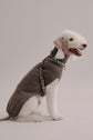 Harness Flynn - Grey