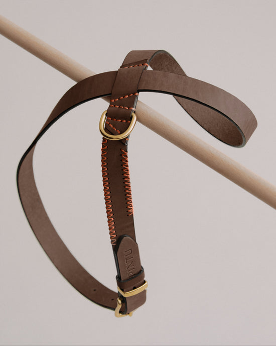 Harness Flynn - Chocolate