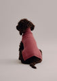 Cashmere Dog Pullover - Pintu