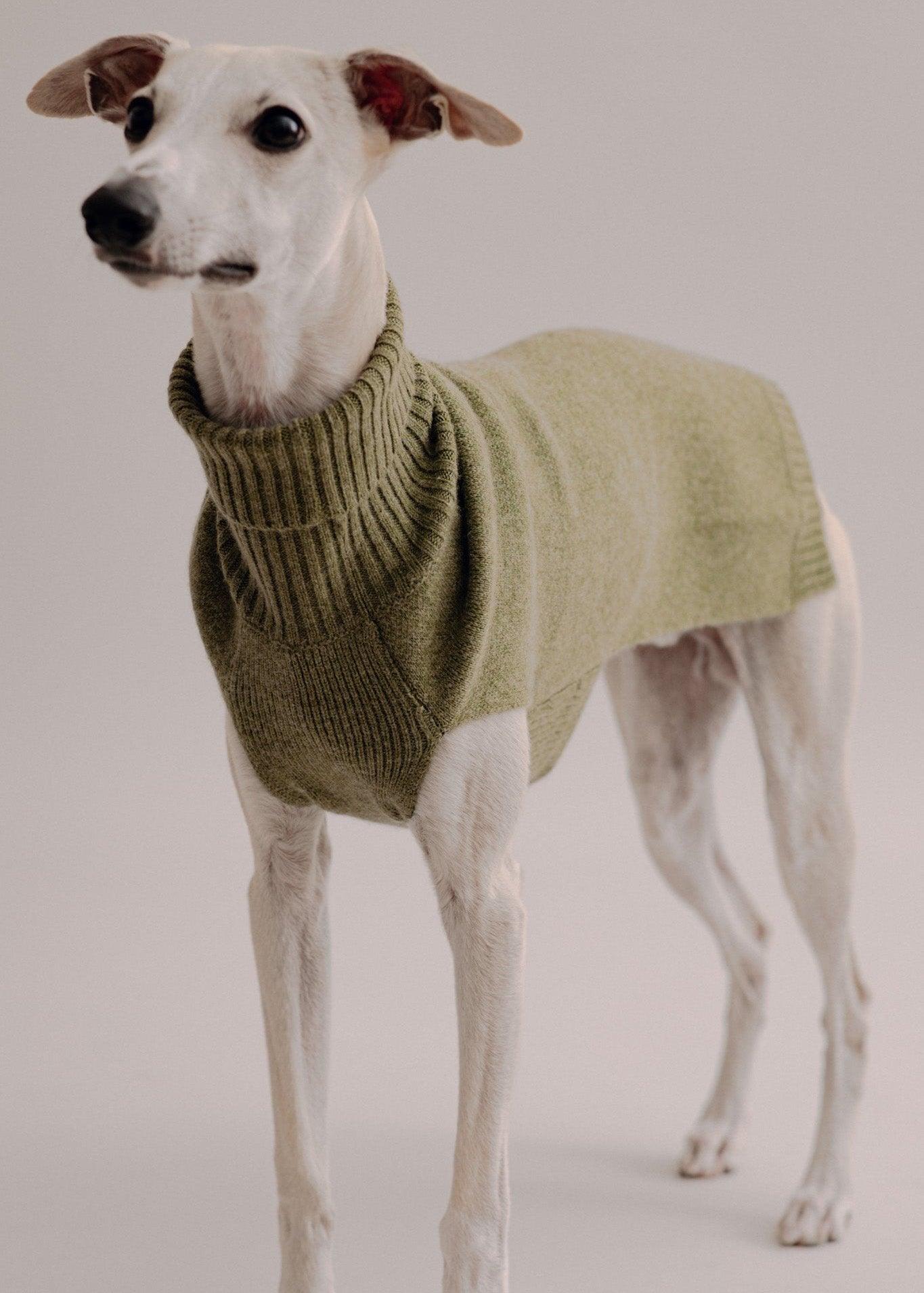 Cashmere Dog Pullover - Pintu