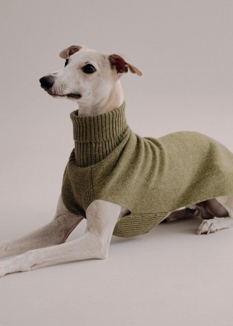 Cashmere Dog Pullover - Pintu