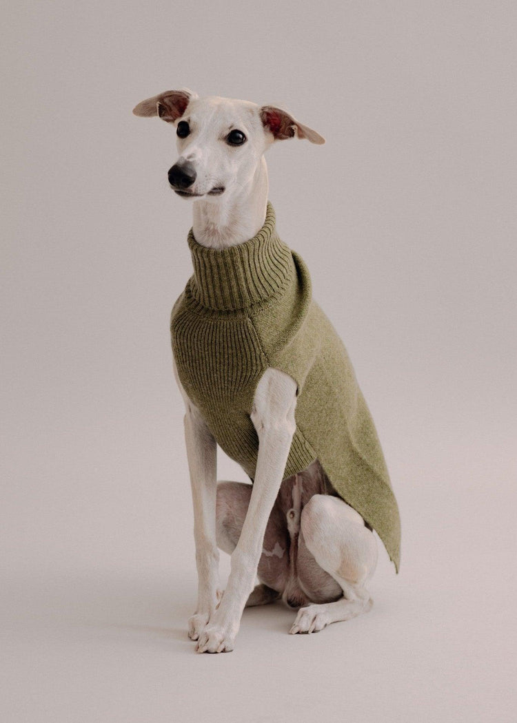 Cashmere Dog Pullover - Pintu