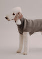 Cashmere Dog Pullover - Pintu