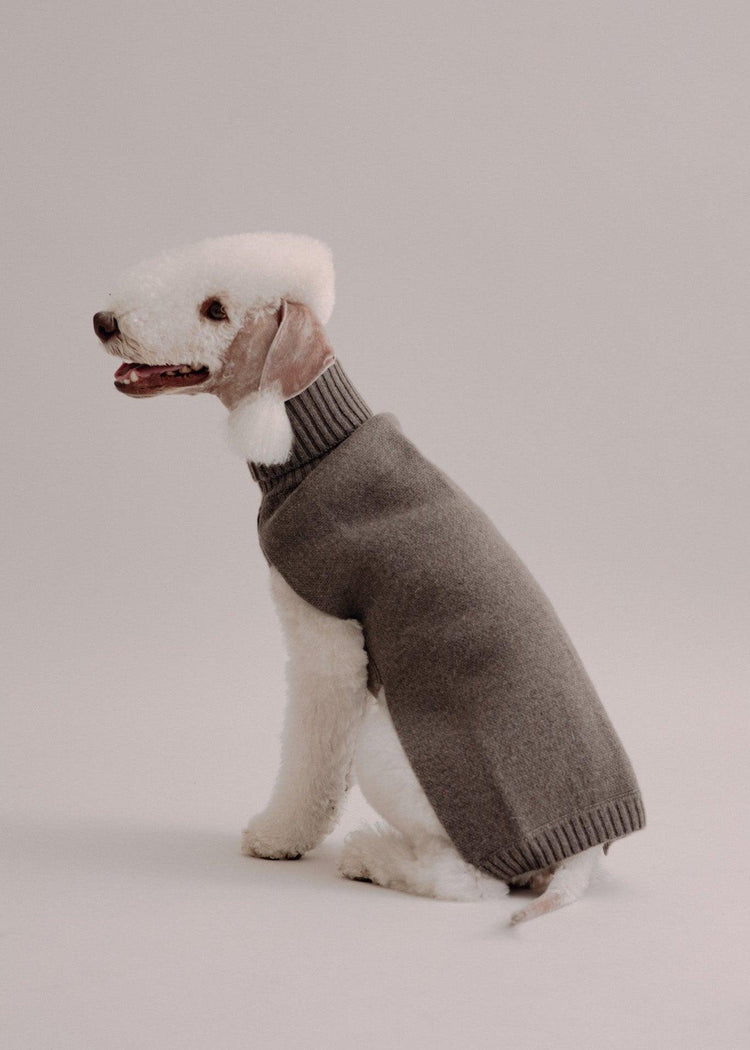 Cashmere Dog Pullover - Pintu