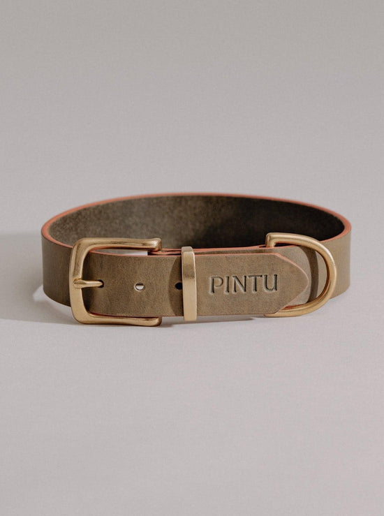 Collar Monte - Olive - Pintu